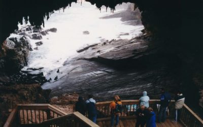 Visiting Australia: Kangaroo Island