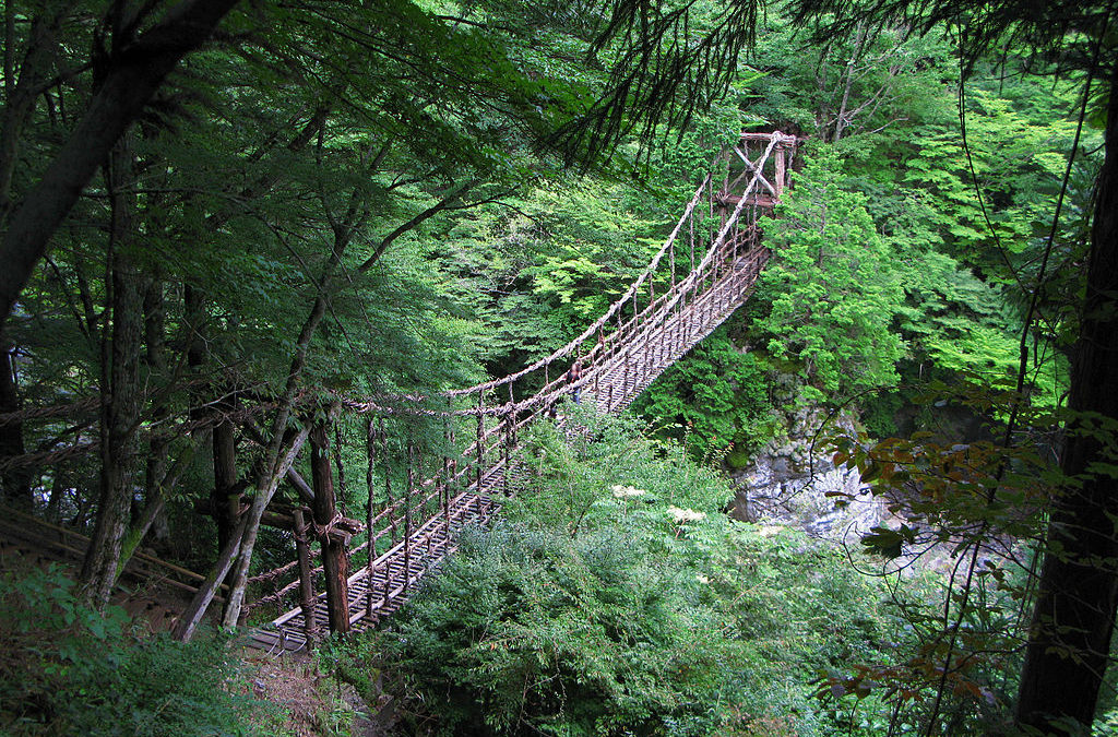 The Vine Bridges of the Iya Valley, Japan