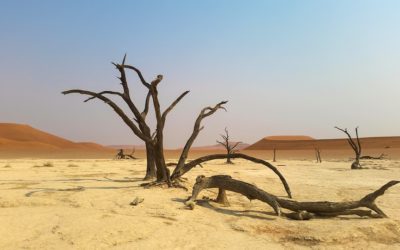 Audi & Airbnb: Marketing