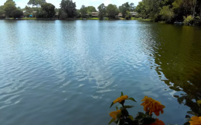 Where to Stay: Jacksonville, Florida