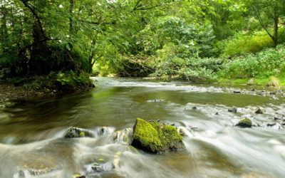 Stay in a Country Pub & Enjoy a Brewery Tour