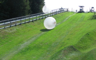 Have You Tried Zorbing?
