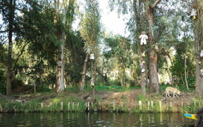 Mexico: La Isla de las Muñecas