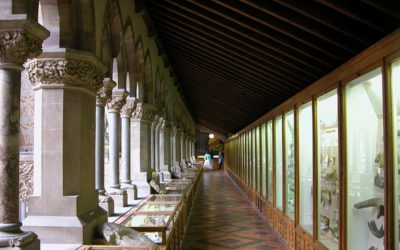 Oxford: The Pitt Rivers Museum