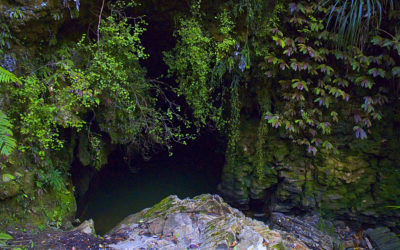 Woodlyn Park, Waitomo Caves, New Zealand