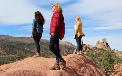 Choosing your Travel Companion