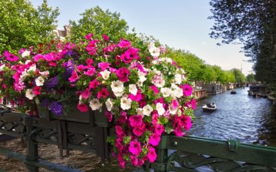 Where To Stay: Amsterdam