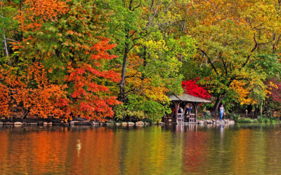 High Line Hotel, New York