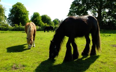Linby Village: England