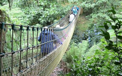 Lost Gardens of Heligan, Cornwall, UK