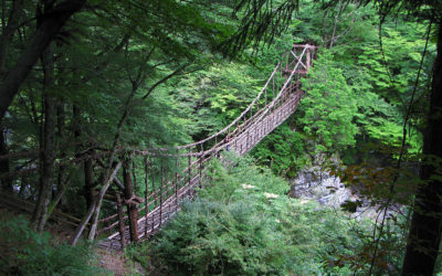 The Vine Bridges of the Iya Valley, Japan
