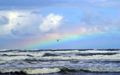 Book Now for Pride Fort Lauderdale 2019