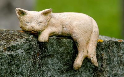 Visiting the UK: The Cats of York