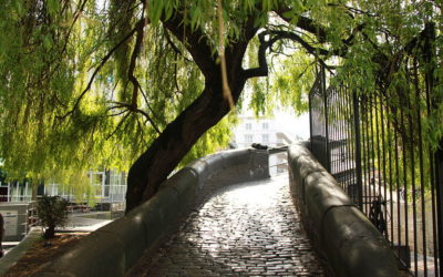 Movie Locations: The Lady in the Van