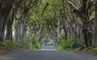 Locations: Game of Thrones