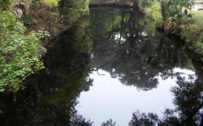 Hampton Springs, Florida