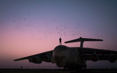 Air Travel: Worried About Bird Strikes?