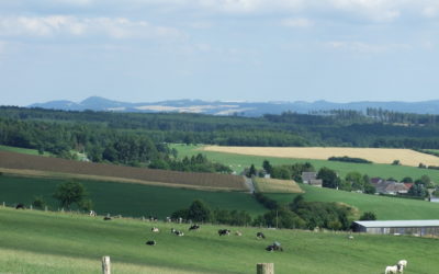 Nordschleife Nurburgring: Germany