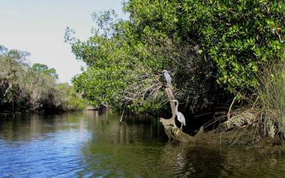 Koreshan State Historic Site, Florida