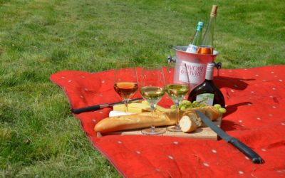Best Budget Dining: A Picnic