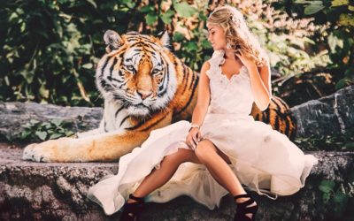 Airbnb Hosting: It’s Not A Power Struggle