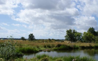 Visiting the UK: Waltham Abbey Royal Gunpowder Mills