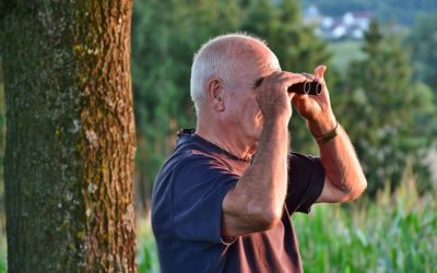 Hosts: Location Stars? Channel Basil Fawlty