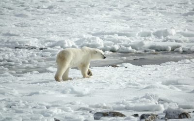 Stay Warm with Ororo Heated Apparel