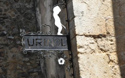 Visiting the USA; Going to the Loo