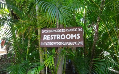 Using a Public Toilet – Oh Dear…