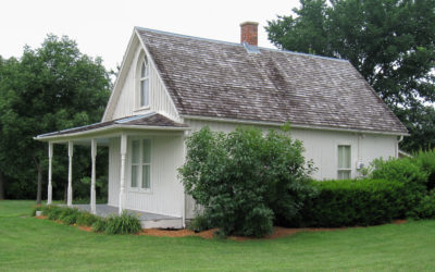 You’ve Seen It Before: You Have, You Have!