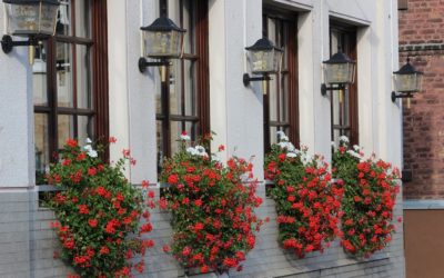 What Is Airbnb Luxe?