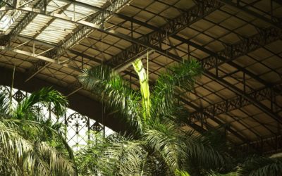 Atocha, Madrid, Spain