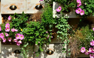 Hosts: Do You Have Drawers In Your Rental Bedroom?